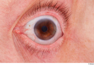 HD Eyes Alma Escribano eye eyelash iris pupil skin texture…